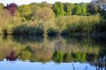 Image: Fishing pond 